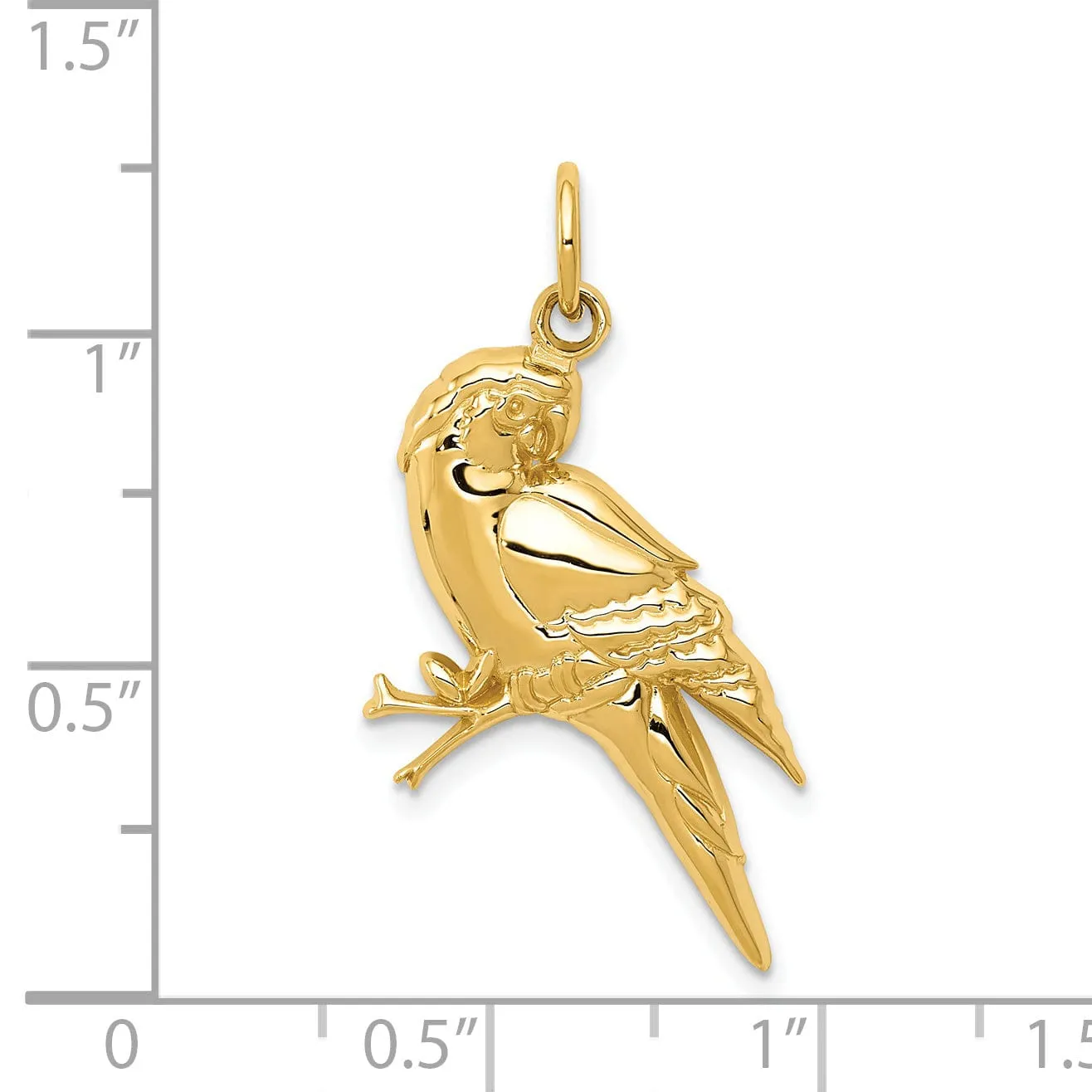 14k Yellow Gold  Textured Polished Finish Concave ShapeParrot Bird Charm Pendant