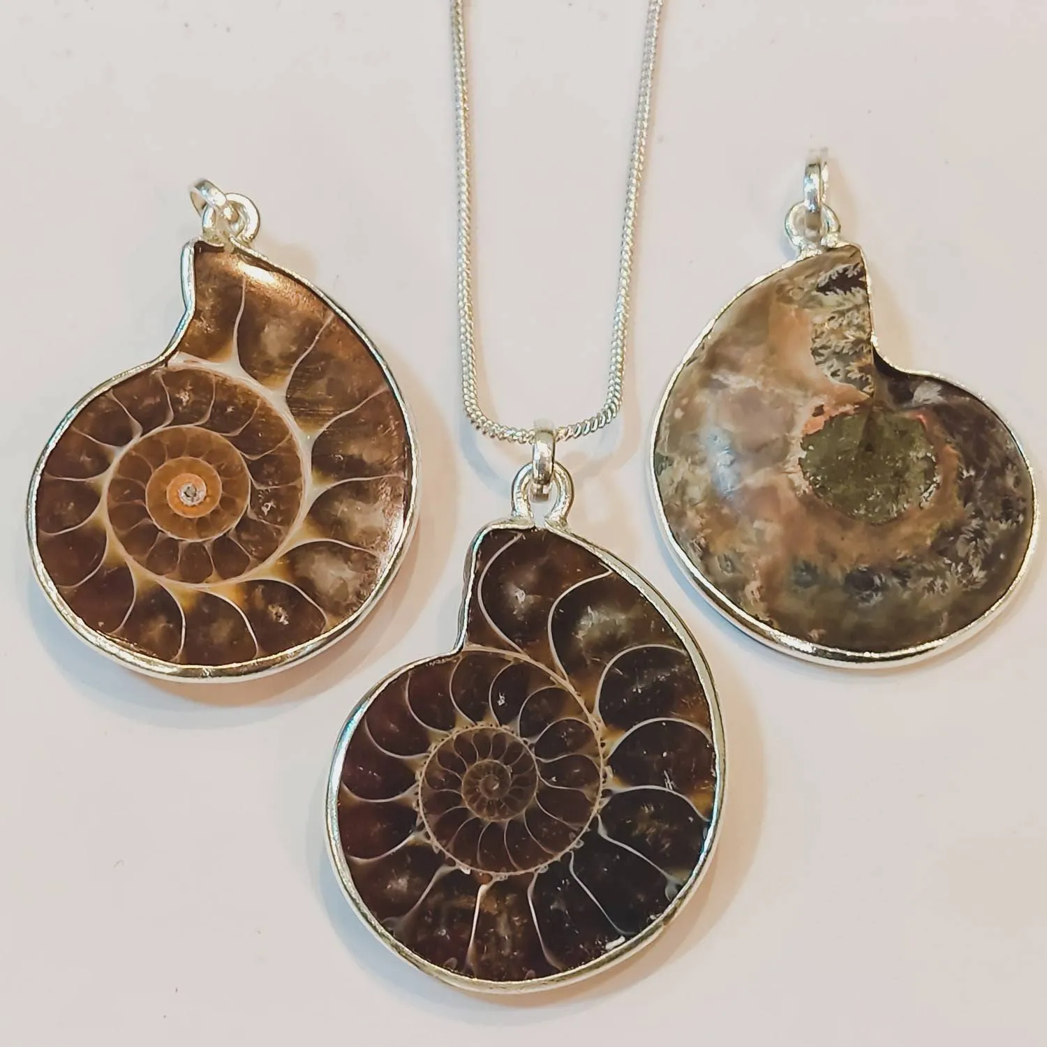 Fossilized Ammonite Spiral Silver Pendant Necklace