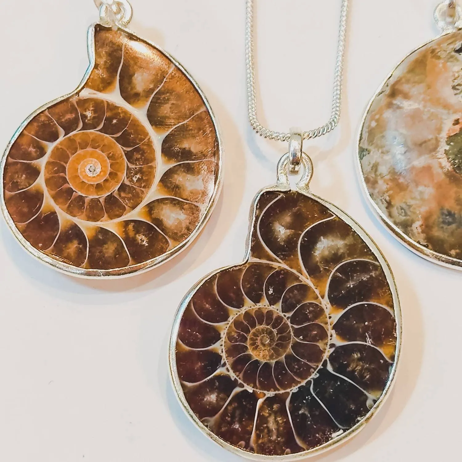 Fossilized Ammonite Spiral Silver Pendant Necklace